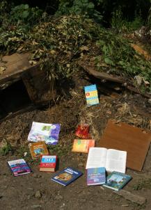 фото А.Кондратьев