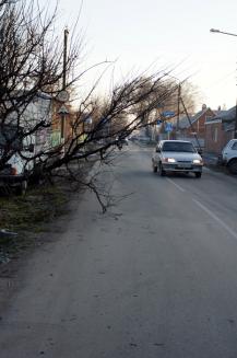 фото А.Кондратьева