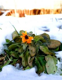 фото А. Кондратьева