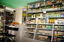 Фото А. Кондратьева Фото А. Кондратьева