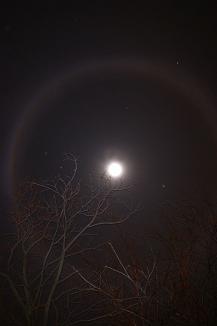 фото А.Кондратьева фото А.Кондратьева