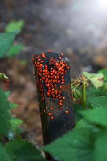 фото А.Кондратьева фото А.Кондратьева