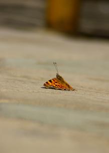 фото А.Кондратьев