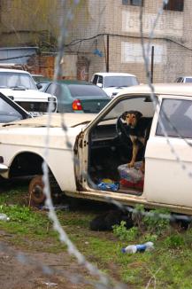 фото А.Кондратьев