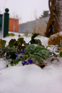 фото А.Кондратьева