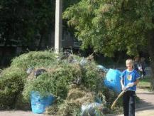 На фото - один из пятиклассников, поборовший амброзию в сквере   