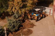 Фото А. Кондратьева