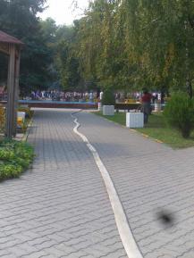 Фото А. Кондратьева