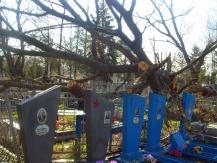 Фото Юлии Зимницкой