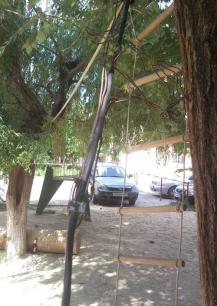 Фото Александра Кондратьева Фото Александра Кондратьева