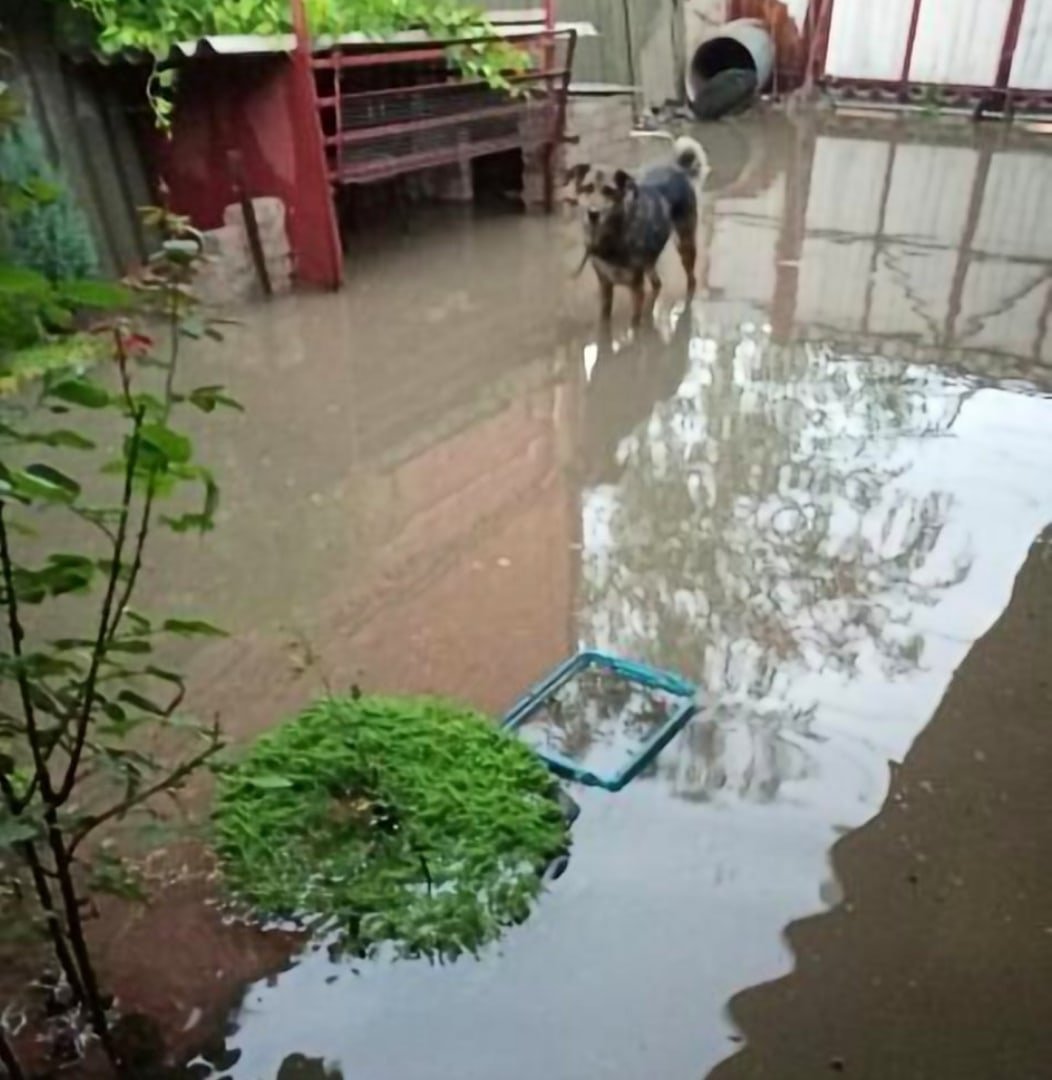 Стихия на Дону: Ростов и Батайск ушли под воду » Новости Батайска —  Батайское время.