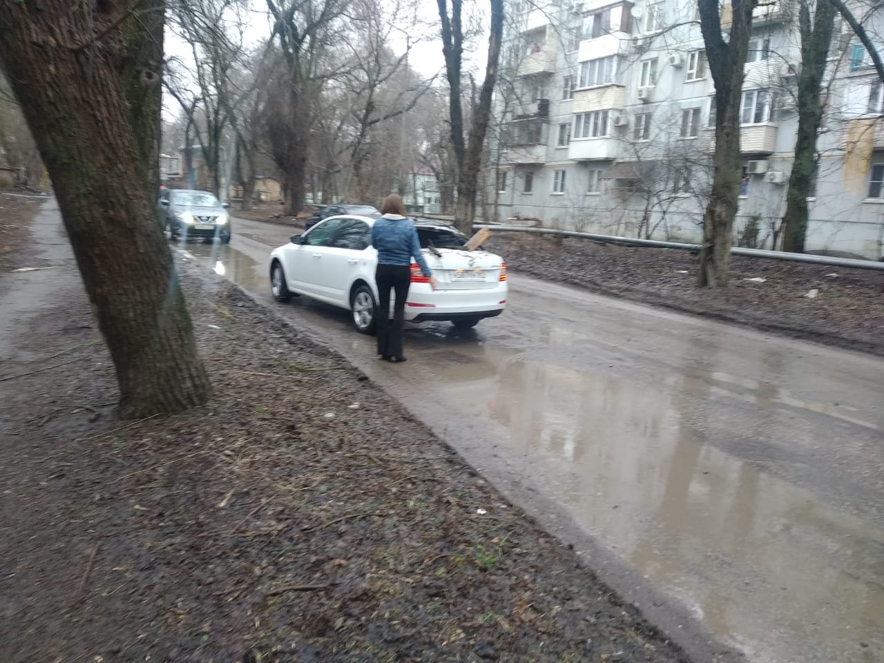 На машину с водителем в Батайске упало дерево » Новости Батайска —  Батайское время.