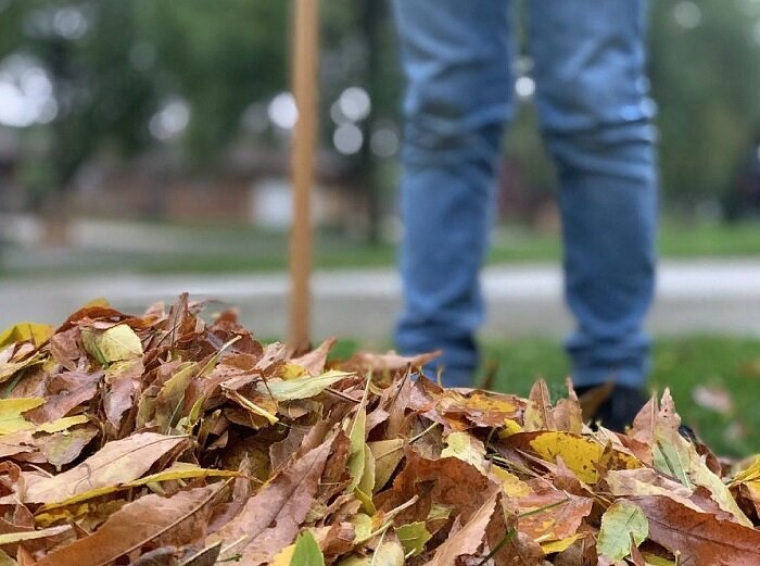 Субботник в Батайске: куда девать мусор » Новости Батайска — Батайское ...